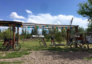 1060538_10206801283965177_1797171784_o