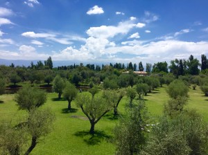 12389067_10206801291285360_660802939_o