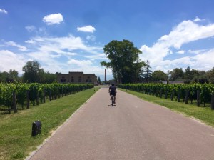 12398389_10206801292245384_1189267781_o